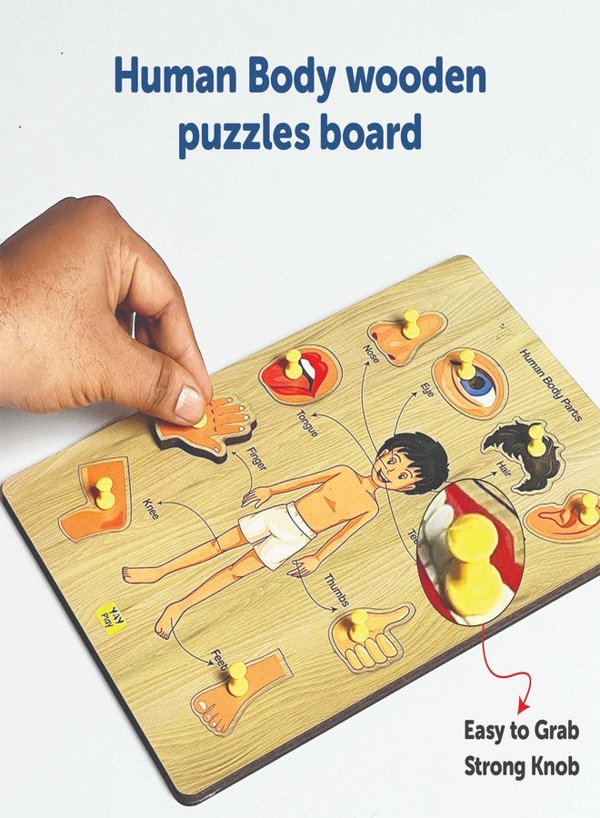 YaYplay Yay Play Wooden Human Body Parts Knob and Pegged Puzzle, 2+ Years | Preschool Educational Pegged Knob Puzzle Toy | Realistic Educational Game for Boy and Girl | Gift Toys for Kids - Image 4